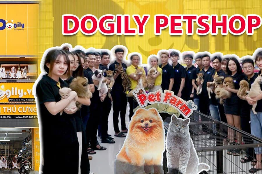 Top 10 Địa Chỉ Mua Chó Cảnh Uy Tín Giá Rẻ Nhất Tại Hà Nội