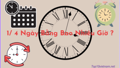 1 4 ngày bằng bao nhiêu giờ