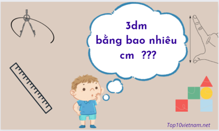 3dm bằng bao nhiêu cm