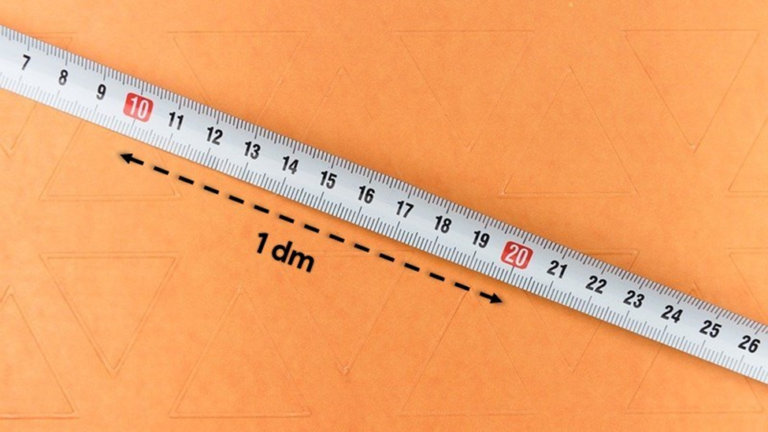 5dm bằng bao nhiêu cm