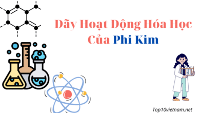 dãy hoạt động hóa học của phi kim