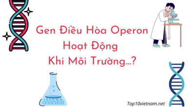 gen điều hòa operon hoạt động khi môi trường