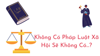 không có pháp luật xã hội sẽ không có