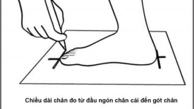 Size 230 là size bao nhiêu