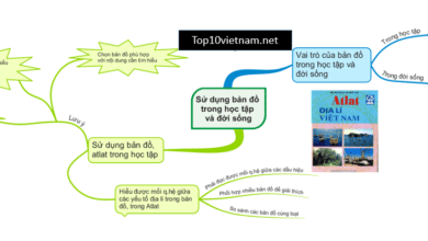 sơ đồ tư duy địa lý 10