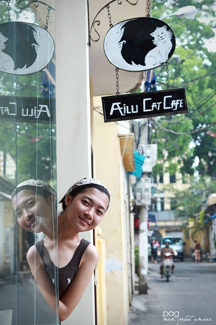 Top 16 quán cafe mèo ở Hà Nội