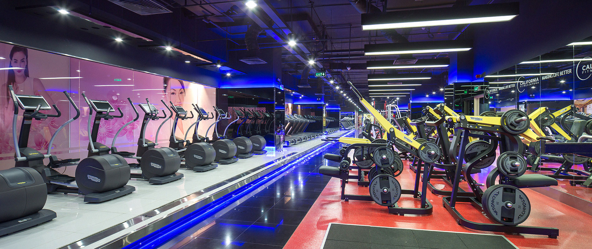 Top 5 California Fitness ở Hồ Chí Minh